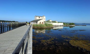 Cap Corse