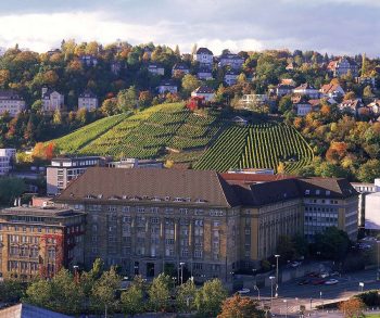 Moenchshalde_Weinberg