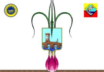 Fiera dello scalogno di Romagna