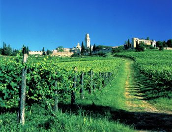 Marca Castello-San-Salvatore-prosecco