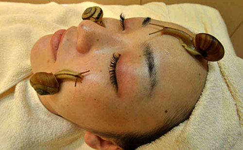massaggio Giappone-massaggio-lumache