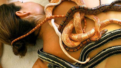 massaggio Indonesia-massaggio-serpenti500