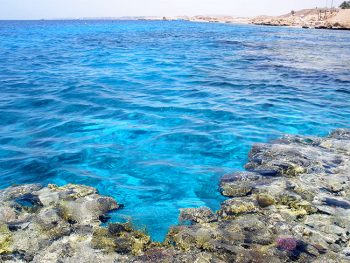 Bandiera Blu Israele-spiaggia-di-Eilat