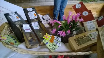 Primavera Val-canali-prodotti