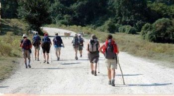 Piano strategico governo, Via Francigena