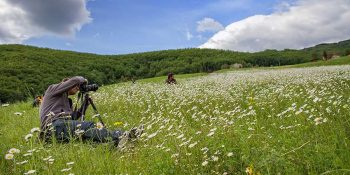 Wild Art Festival Chiaverano