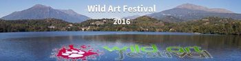 Wild Art Festival