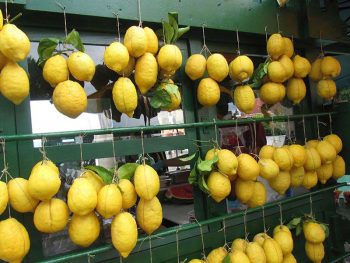 Limoni