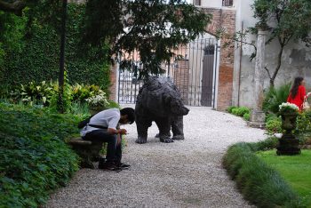 progetto Orso