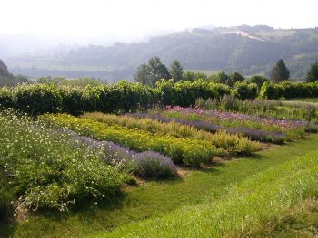 Casola Valsenio, Giardino delle Erbe