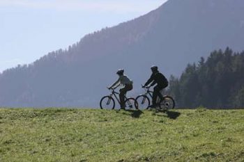 Bicicletta assistita