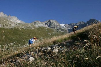Skyrace Monte Bianco