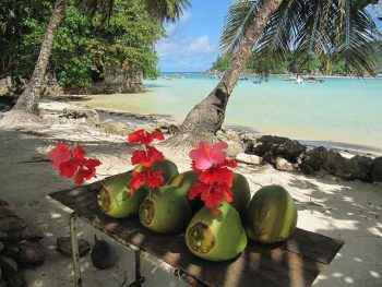 Praslin Seychelles-Mahe-noci-cocco