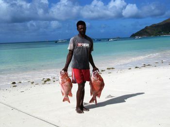 Praslin Seychelles-Praslin-pescatore