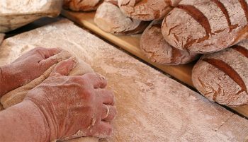 Slow Food carinzia-il-pane