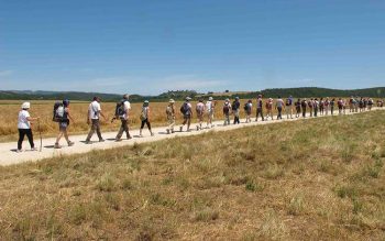 Travel Fest stf-a-piedi-lungo-la-via-francigena