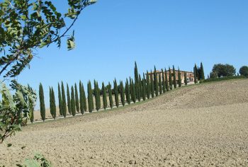 Francigena francigena-val-d-orcia