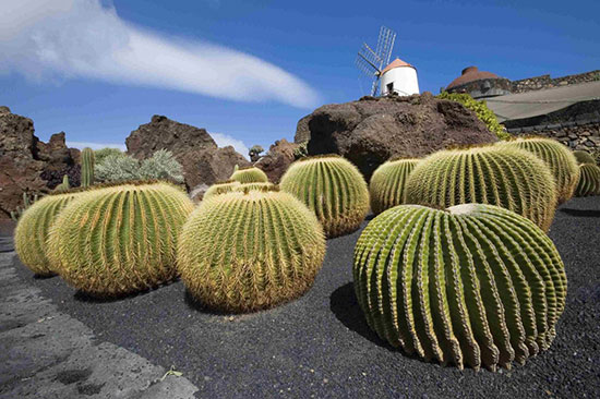 Visitare lanzarote-spagna