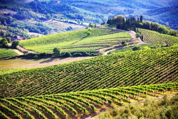 Chianti paesaggio-del-chianti-4