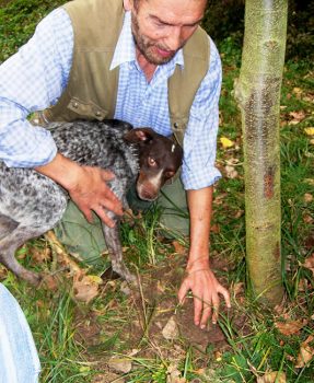 Trifola tartufo-chiusano1