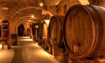 Rovescala cantina-botti