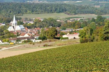 Champagne les-riceys-aube-france-e-circondata-dai-vigneti