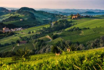 Asta panorama-langhe-roero-barolo