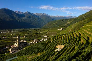 Wine Trail vigneti-terrazzati-valtellina