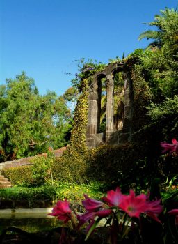 Madeira Madeira-Quinta-das-Cruzes