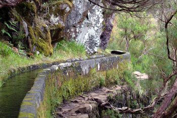 Isola Madeira,-particolare-di-una-levada