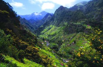 Isola Madeira,-scorcio-sui-terrazzamenti-vitati-di-Faial