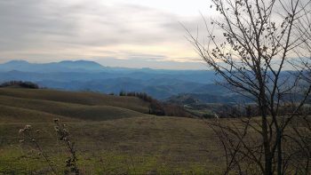 Sentiero Panorama