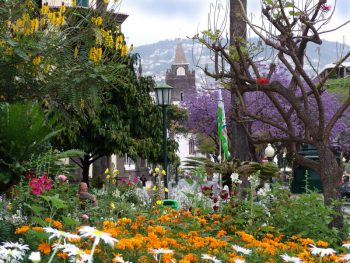 Isola un'altra-immagine-del-il-Jardim-Municipal-di-Funchal