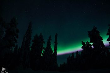 Aurora boreale-4