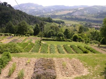 Comprensorio Giardino-delle-erbe-Casola-Valsenio