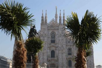 Terremoto Palme-piazza-duomo-Milano