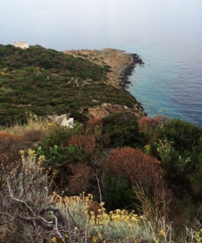 Ponza e la sua natura