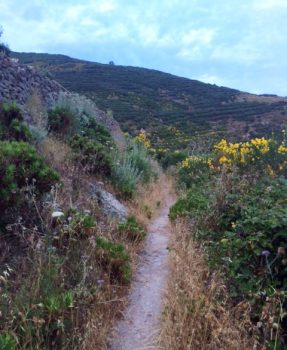 Ponza Le antiche mulattiere