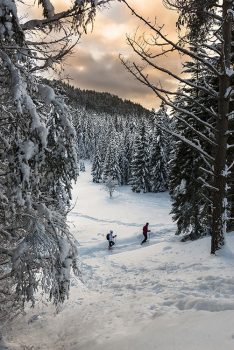 Ciaspole Val-di-Non-Ciaspole-Monte-Roen-ph-Diego-Marini