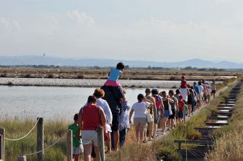 Parco del Delta Florio-Badocchi-Atlantide-Saline-di-Cervia