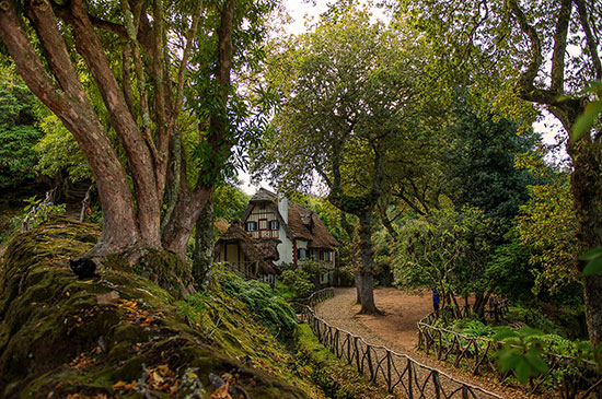 Arcipelago di Madeira Natural-Park-Queimadas_Santana