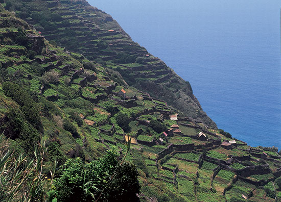 Arcipelago di Madeira Terraces