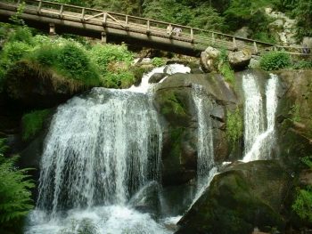 Parchi naturali Foresta-Nera-strada-panoramica