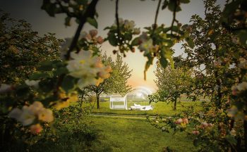 Lago di Costanza Himmelbett_Bubble_Hotel