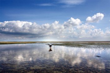 Pparco-wattenmeer-Schleswing-Holstein