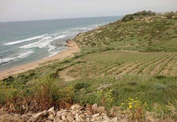 Inycon 2017 Menfi-vigneti-Settesoli-e-spiaggia