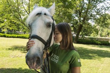 Vacanza Slovenia-Cavalli-Lipizzani