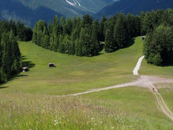 Misurina Auronzo, i prati di Malon