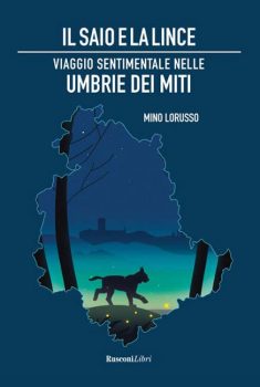 Il-saio-e-la-lince cover