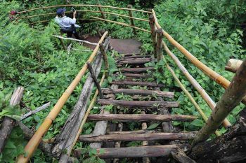 Thailandia-percorso-nella foresta